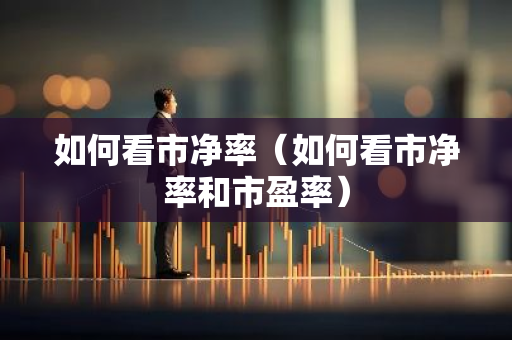 如何看市净率（如何看市净率和市盈率）