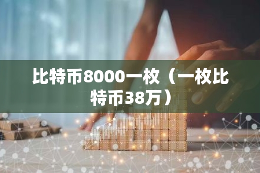 比特币8000一枚（一枚比特币38万）-第1张图片-智财锋资讯网