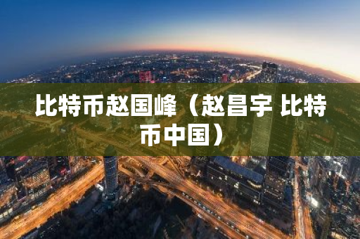 比特币赵国峰（赵昌宇 比特币中国）-第1张图片-智财锋资讯网