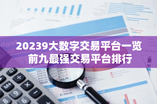 20239大数字交易平台一览 前九最强交易平台排行-第1张图片-智财锋资讯网