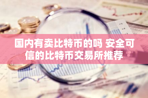 国内有卖比特币的吗 安全可信的比特币交易所推荐-第1张图片-智财锋资讯网