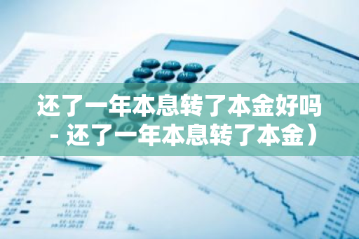 还了一年本息转了本金好吗 - 还了一年本息转了本金）