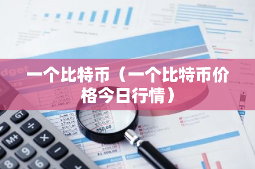 一个比特币（一个比特币价格今日行情）