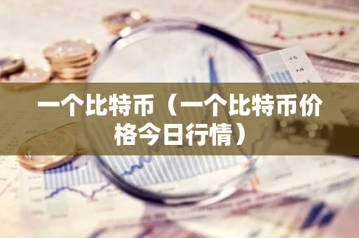 一个比特币（一个比特币价格今日行情）