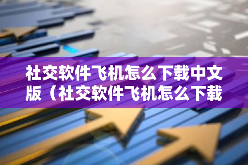 社交软件飞机怎么下载中文版（社交软件飞机怎么下载中文版苹果）