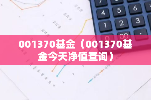 001370基金（001370基金今天净值查询）-第1张图片-智财锋资讯网