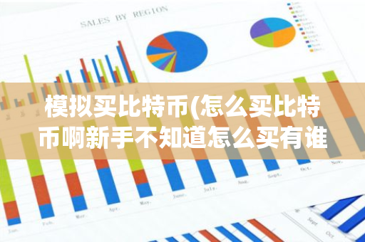 模拟买比特币(怎么买比特币啊新手不知道怎么买有谁可以教教吗)-第1张图片-智财锋资讯网
