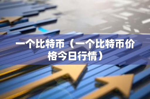 一个比特币（一个比特币价格今日行情）-第1张图片-智财锋资讯网