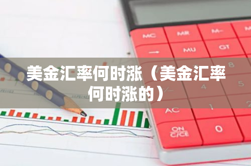 美金汇率何时涨（美金汇率何时涨的）