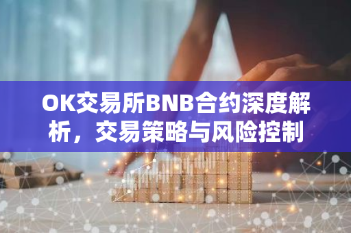 OK交易所BNB合约深度解析，交易策略与风险控制-第1张图片-智财锋资讯网