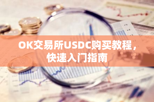 OK交易所USDC购买教程，快速入门指南
