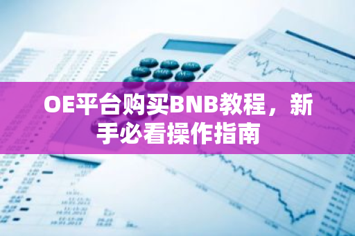OE平台购买BNB教程，新手必看操作指南