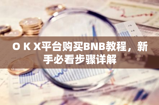 O K X平台购买BNB教程，新手必看步骤详解