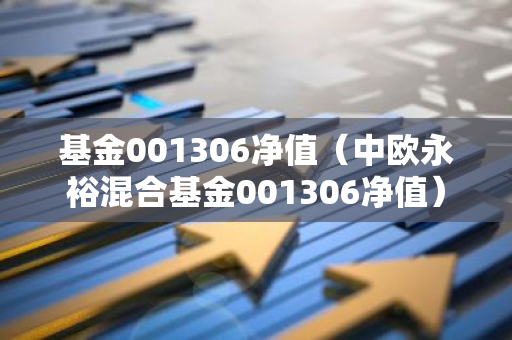 基金001306净值（中欧永裕混合基金001306净值）-第1张图片-智财锋资讯网