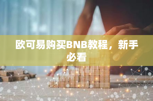 欧可易购买BNB教程，新手必看-第1张图片-智财锋资讯网
