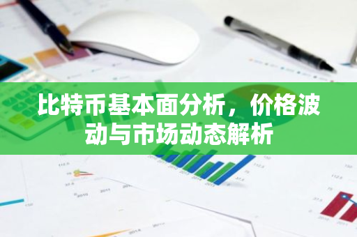 比特币基本面分析，价格波动与市场动态解析