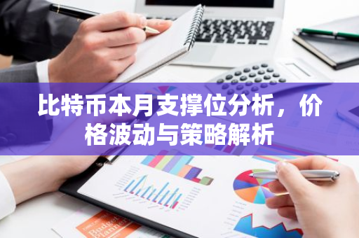 比特币本月支撑位分析，价格波动与策略解析-第1张图片-智财锋资讯网