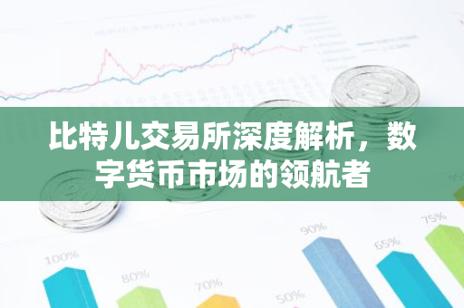 比特儿交易所深度解析，数字货币市场的领航者-第1张图片-智财锋资讯网