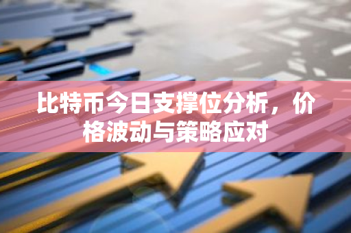 比特币今日支撑位分析，价格波动与策略应对