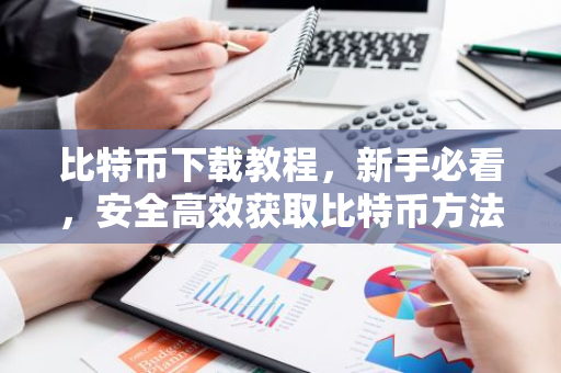 比特币下载教程，新手必看，安全高效获取比特币方法-第1张图片-智财锋资讯网