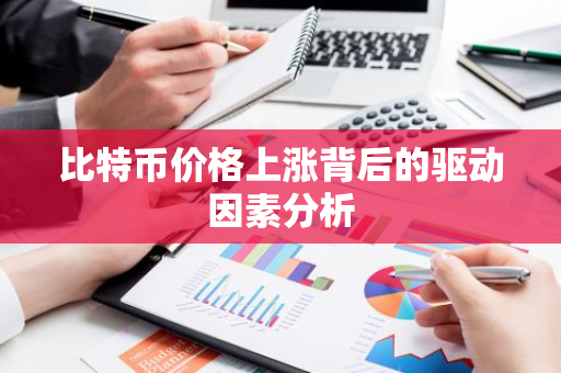 比特币价格上涨背后的驱动因素分析