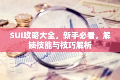SUI攻略大全，新手必看，解锁技能与技巧解析
