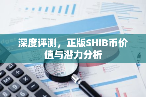 深度评测，正版SHIB币价值与潜力分析