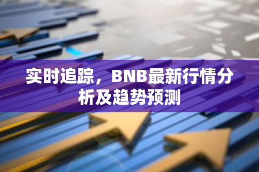 实时追踪，BNB最新行情分析及趋势预测
