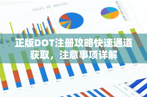 正版DOT注册攻略快速通道获取，注意事项详解