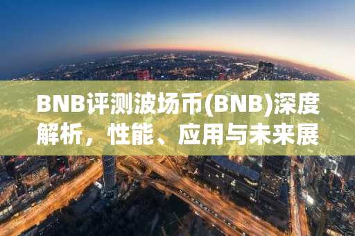 BNB评测波场币(BNB)深度解析，性能、应用与未来展望
