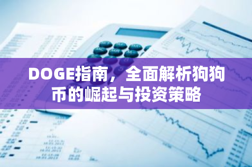 DOGE指南，全面解析狗狗币的崛起与投资策略