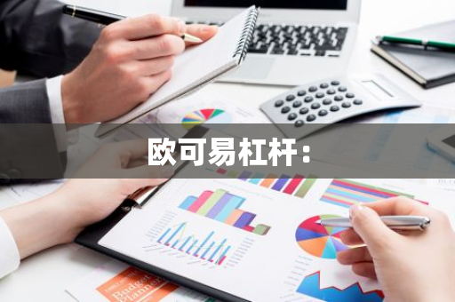欧可易杠杆：-第1张图片-智财锋资讯网