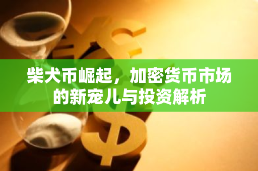 柴犬币崛起，加密货币市场的新宠儿与投资解析-第1张图片-智财锋资讯网