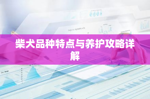 柴犬品种特点与养护攻略详解-第1张图片-智财锋资讯网