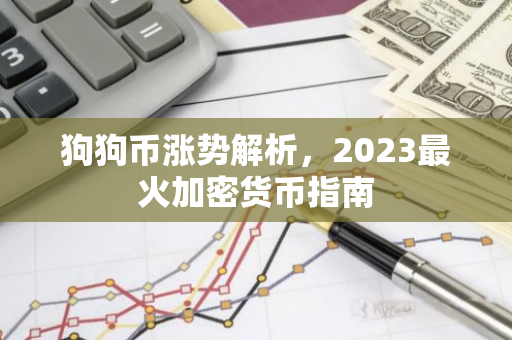 狗狗币涨势解析，2023最火加密货币指南-第1张图片-智财锋资讯网