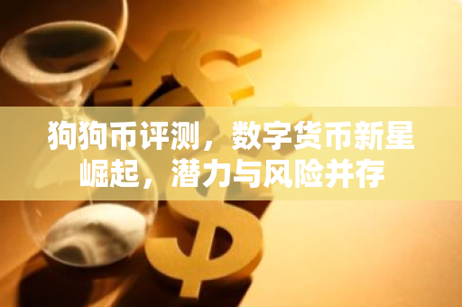 狗狗币评测，数字货币新星崛起，潜力与风险并存-第1张图片-智财锋资讯网