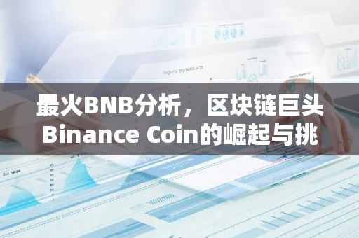 最火BNB分析，区块链巨头Binance Coin的崛起与挑战-第1张图片-智财锋资讯网