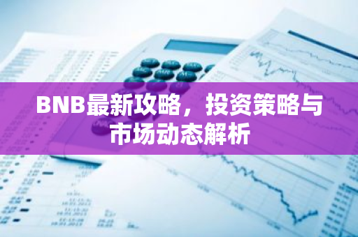 BNB最新攻略，投资策略与市场动态解析-第1张图片-智财锋资讯网