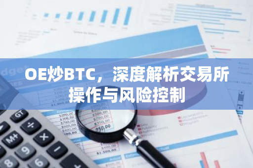 OE炒BTC，深度解析交易所操作与风险控制-第1张图片-智财锋资讯网