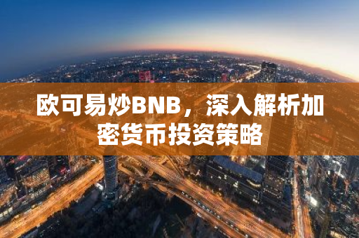 欧可易炒BNB，深入解析加密货币投资策略-第1张图片-智财锋资讯网