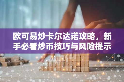 欧可易炒卡尔达诺攻略，新手必看炒币技巧与风险提示