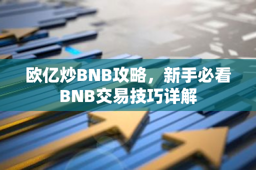 欧亿炒BNB攻略，新手必看BNB交易技巧详解