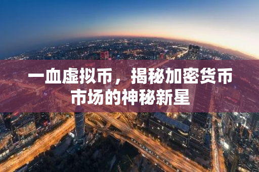 一血虚拟币，揭秘加密货币市场的神秘新星-第1张图片-智财锋资讯网