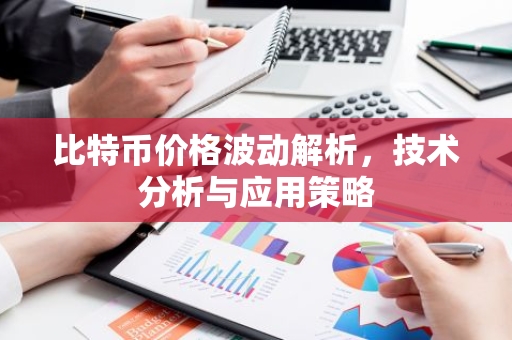 比特币价格波动解析，技术分析与应用策略-第1张图片-智财锋资讯网