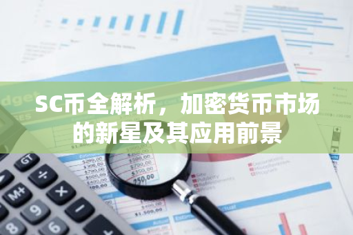 SC币全解析，加密货币市场的新星及其应用前景-第1张图片-智财锋资讯网