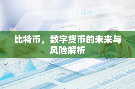 比特币，数字货币的未来与风险解析-第1张图片-智财锋资讯网