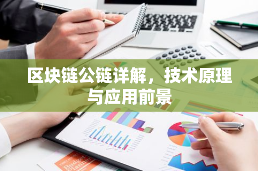 区块链公链详解，技术原理与应用前景-第1张图片-智财锋资讯网