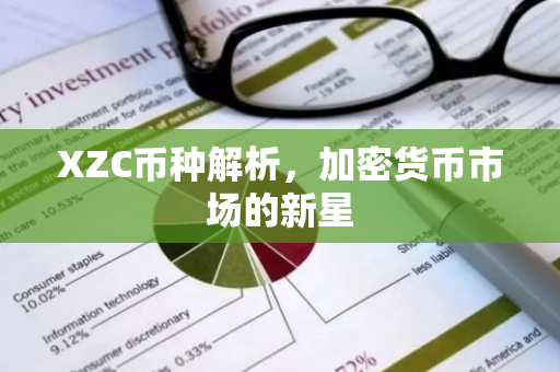 XZC币种解析，加密货币市场的新星-第1张图片-智财锋资讯网