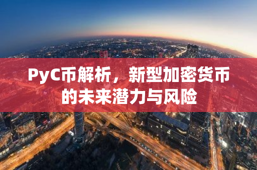 PyC币解析,新型加密货币的未来潜力与风险-第1张图片-智财锋资讯网 PyC币解析,新型加密货币的未来潜力与风险-第1张图片-智财锋资讯网