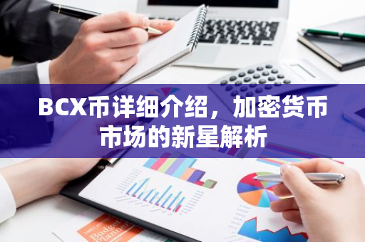 BCX币详细介绍，加密货币市场的新星解析-第1张图片-智财锋资讯网